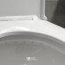 Toilet Michelle GE, Siphonic Flush